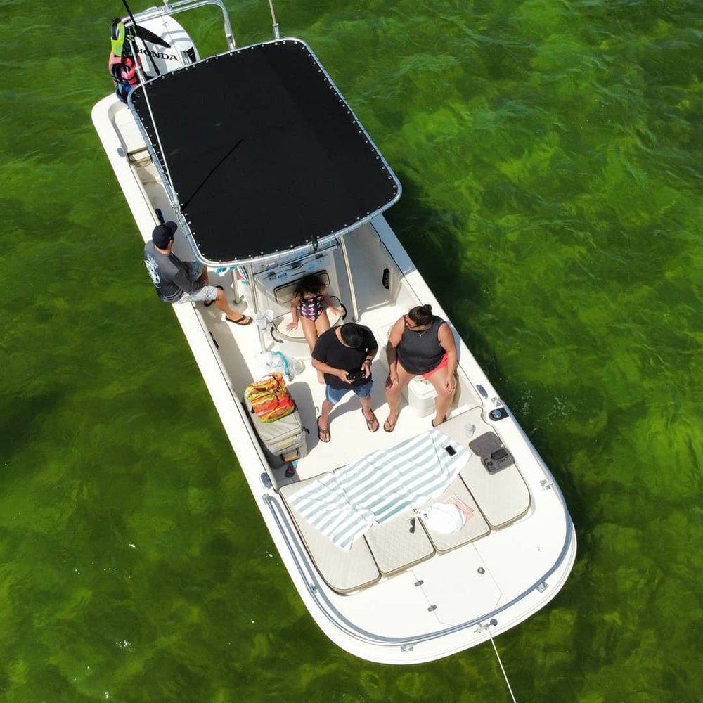 DOLPHIN AND SNORKELING TOURS PANAMA CITY BEACH 3901 Thomas Dr, Panama