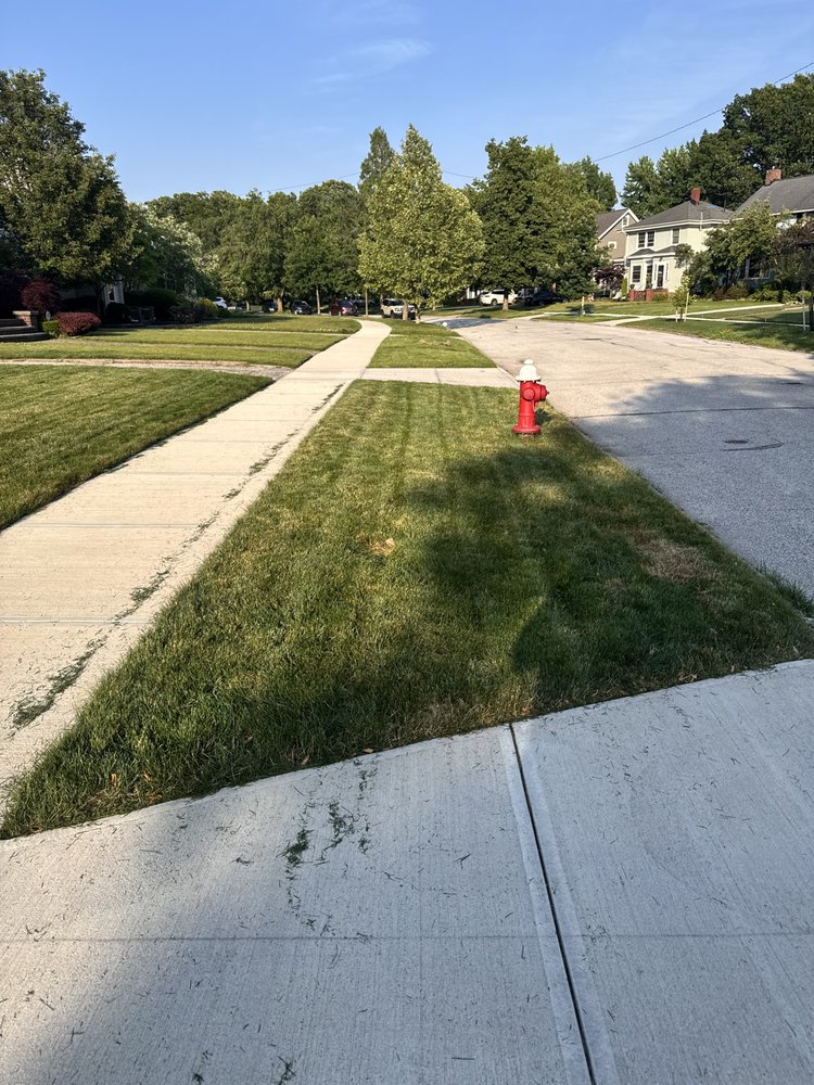 EcoMow Lawncare - veterans service organization in Cleveland, OH