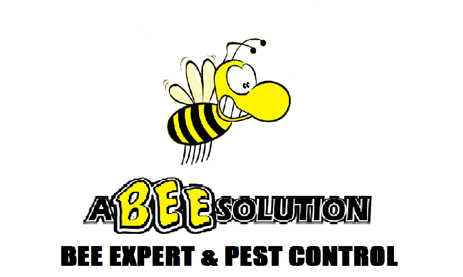 A BEE SOLUTION - Updated September 2026 - 72 Photos - 110 Reviews ...