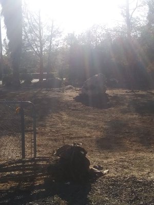 Youngster&TheMuscle Logo