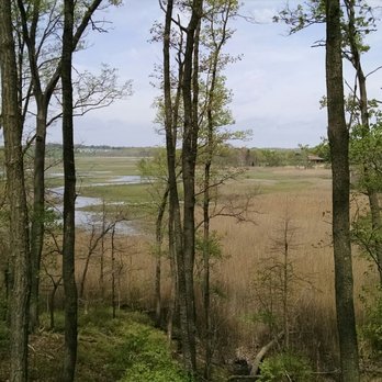 Cheesequake State Park - Hooks Creek - Parks Near Me - Matawan, New Jersey