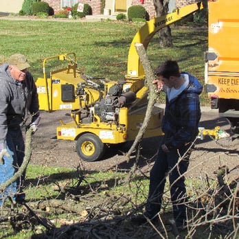 Budget Tree Service - Tree Cleanup - Tree Services Near Me - Shawnee, Kansas