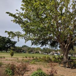 Kings Meadow Park - Lots of greenery and shade