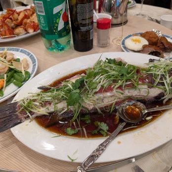 Mayflower Restaurant - Steamed fish - 11/2024 - Chinese Near Me - Milpitas, California Mayflower Restaurant - Steamed fish - 11/2024 - Chinese Near Me - Milpitas, California