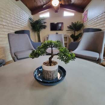 Living Spaces - Furniture Stores Near Me - Vista, California Living Spaces - Furniture Stores Near Me - Vista, California