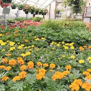 Laura's Garden - Nurseries & Gardening Near Me - Salem, New York