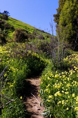 Bernal Heights by null
