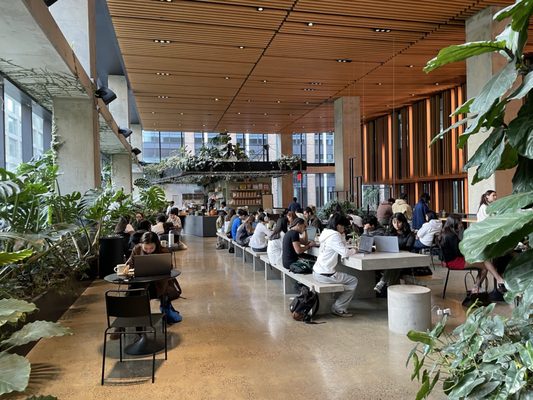 Georgie’s Cafe & Bar by null