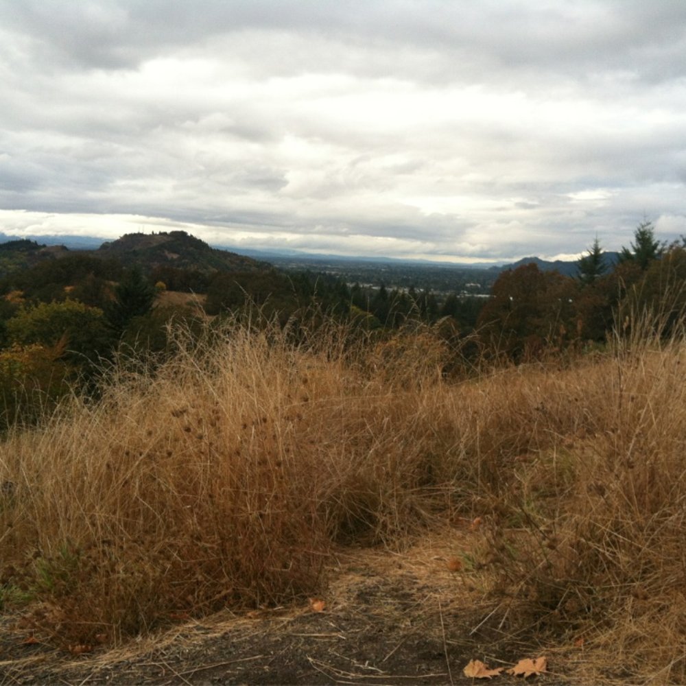 Mount Pisgah Arboretum - View from the first bench - Venues & Event Spaces Near Me - Eugene, Oregon Mount Pisgah Arboretum - View from the first bench - Venues & Event Spaces Near Me - Eugene, Oregon
