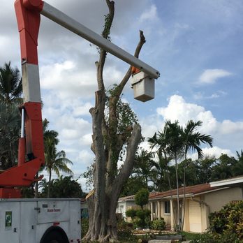 Southern Arbor Services - Landscaping Near Me - Lighthouse Point, Florida