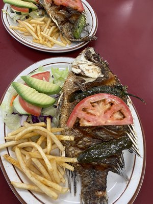 Taqueria Tampico by null