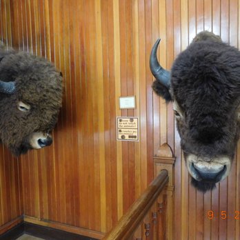 Banff Park Museum - Museums Near Me - Banff, Alberta Banff Park Museum - Museums Near Me - Banff, Alberta