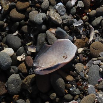 Glass Beach - Beaches Near Me