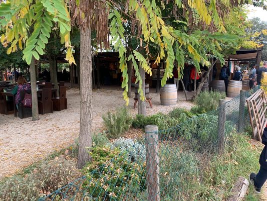 Taverna Tipica Veneziana by null