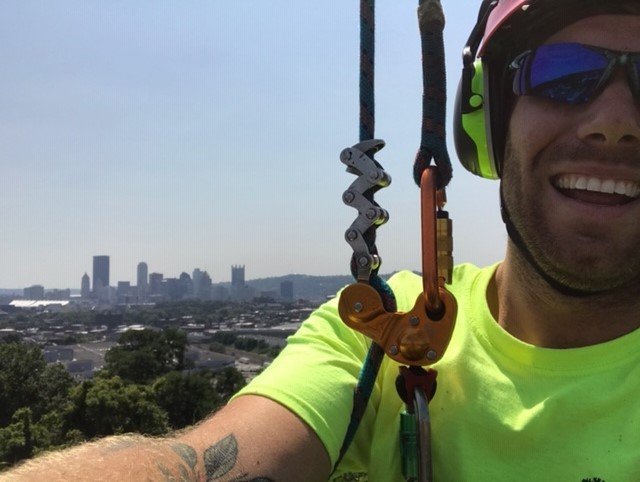 Elevated Tree Care - tree service in Pittsburgh, PA