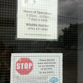 Toronto Wildlife Centre - Don't dump animals at the door! - Animal Shelters Near Me - North York, Ontario Toronto Wildlife Centre - Don't dump animals at the door! - Animal Shelters Near Me - North York, Ontario