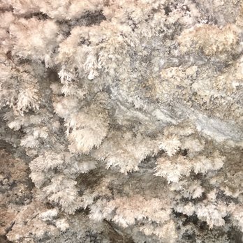 Mercer Caverns - Tours Near Me - Murphys, California Mercer Caverns - Tours Near Me - Murphys, California