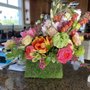 Photo of CC BLOOM