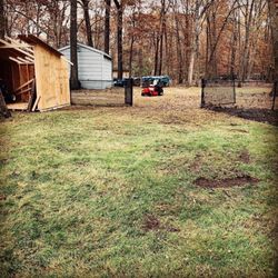 Benjamin's Property Services - Leaf cleanup