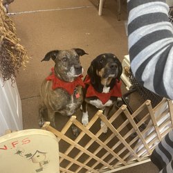 PAWS Thrift Shop