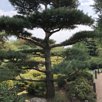 Chicago Botanic Garden - The whole island of the Japanese Garden is incredibly beautiful. - Botanical Gardens Near Me - Glencoe, Illinois