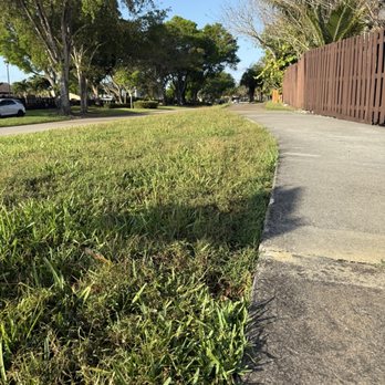 Native Tree Service - Tree Services Near Me - Miami, Florida