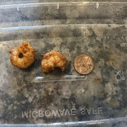 Kam Sheng - Shrimp Lo Mein size comparison.