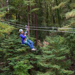 Mount Hermon Adventures - Flying through the Redwoods!