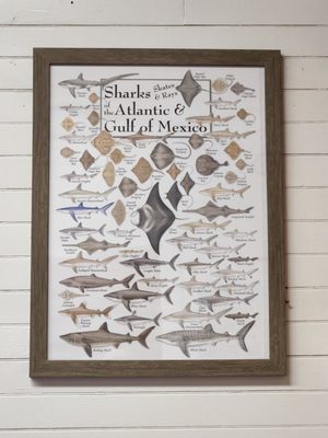 Ocean City Life-Saving Museum by null