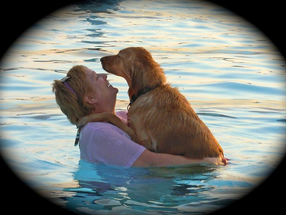 DUSKTODAWN PROFESSIONAL PET SITTING Updated September 2024 Cedar