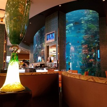 Chart House - Love this art, living life, feels damn near like an amazement park. - Seafood Near Me - Las Vegas, Nevada Chart House - Love this art, living life, feels damn near like an amazement park. - Seafood Near Me - Las Vegas, Nevada