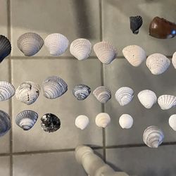 San Carlos Condominium - Shells