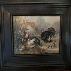 Molly Johns Farm