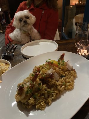 Nando Trattoria by null