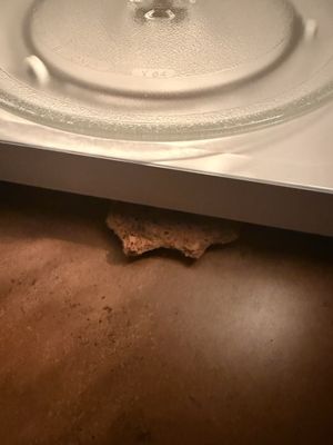 Stoney Creek Hotel Columbia