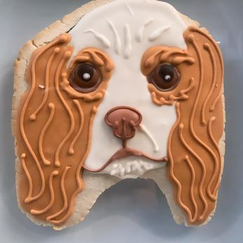 Funny Face Bakery - Cupcakes Near Me - New York, New York