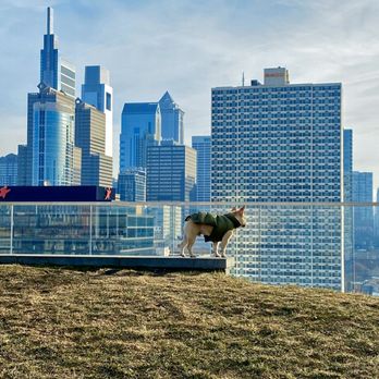 Cira Green - Looking over Philly - Parks Near Me - Philadelphia, Pennsylvania