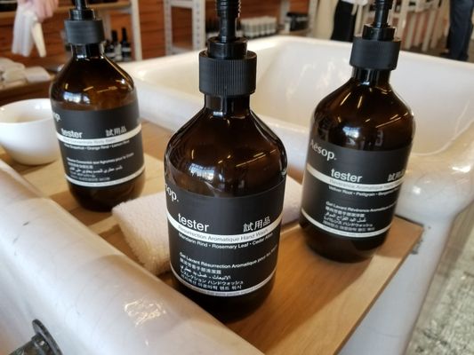 Aesop Abbot Kinney by null