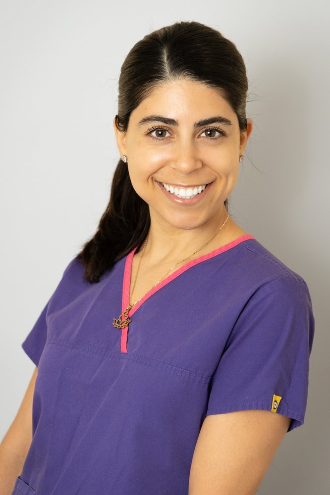 Holistic Occupational Therapy Logo