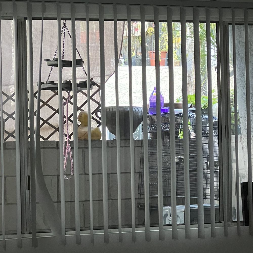Toro's 24/7 Glass Replacement - window they replaced . - Windows Installation Near Me Toro's 24/7 Glass Replacement - window they replaced . - Windows Installation Near Me
