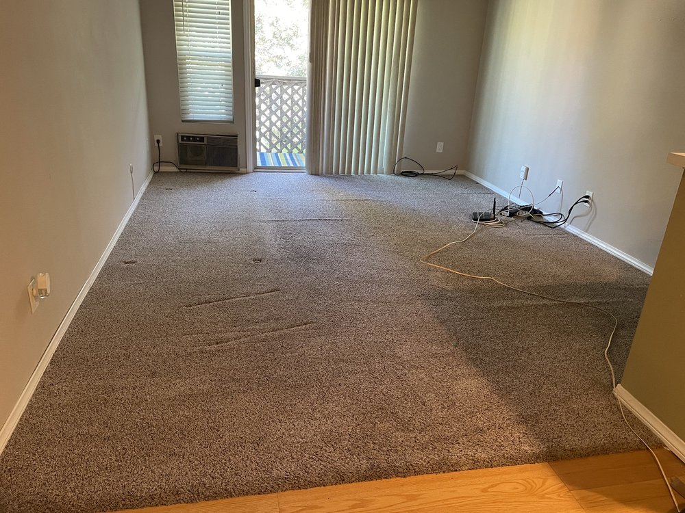 CONDER CARPET CLEANING Updated May 2024 68 Photos & 79 Reviews Chula Vista, California
