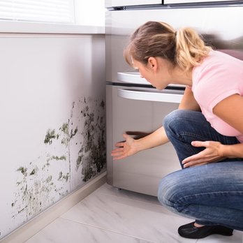 WIN Home Inspection Great Hills - Home Inspectors Near Me - Austin, Texas WIN Home Inspection Great Hills - Home Inspectors Near Me - Austin, Texas