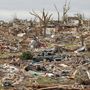 Photo of Black Buzzard Junk
