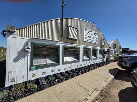 Al's Pine Garden & Nursery, 6815 W 44th Ave, Wheat Ridge, CO