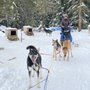 Photo of Winter Woods Dog Sled Tours