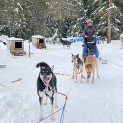 Winter Woods Dog Sled Tours - The end of our fun filled tour.