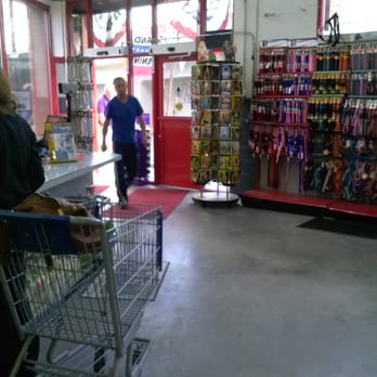 K9 Caterers - Pet Stores Near Me - Glendale, New York