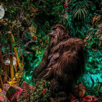 Rainforest Cafe - American Near Me - Grapevine, Texas