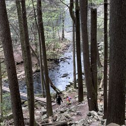 Foster Falls Small Wild Area