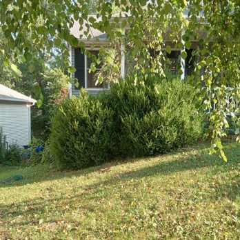 Cervi Landscaping And Outdoor Design - Before cleanup - Landscaping Near Me Cervi Landscaping And Outdoor Design - Before cleanup - Landscaping Near Me